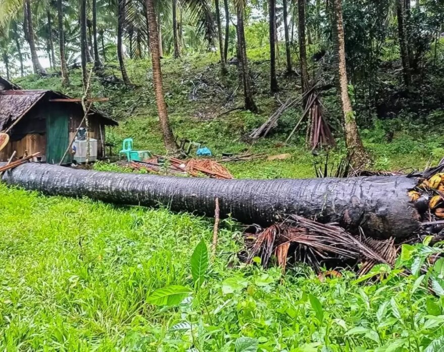 filipinlerde fengshen firtinasi 7 olu 245 bin kisi etkilendi 6AkfWqqX.jpg